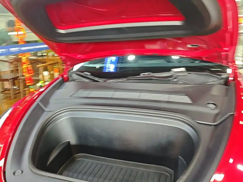Tesla Model Y — миниатюра 20