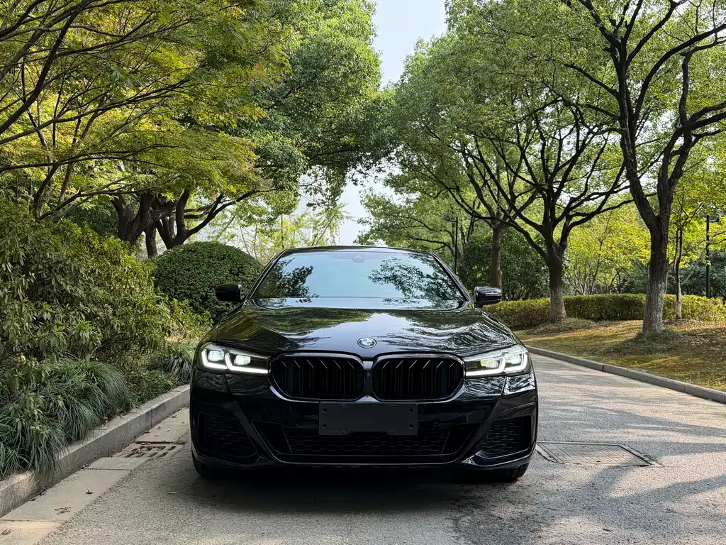 BMW 5 Series — миниатюра 2