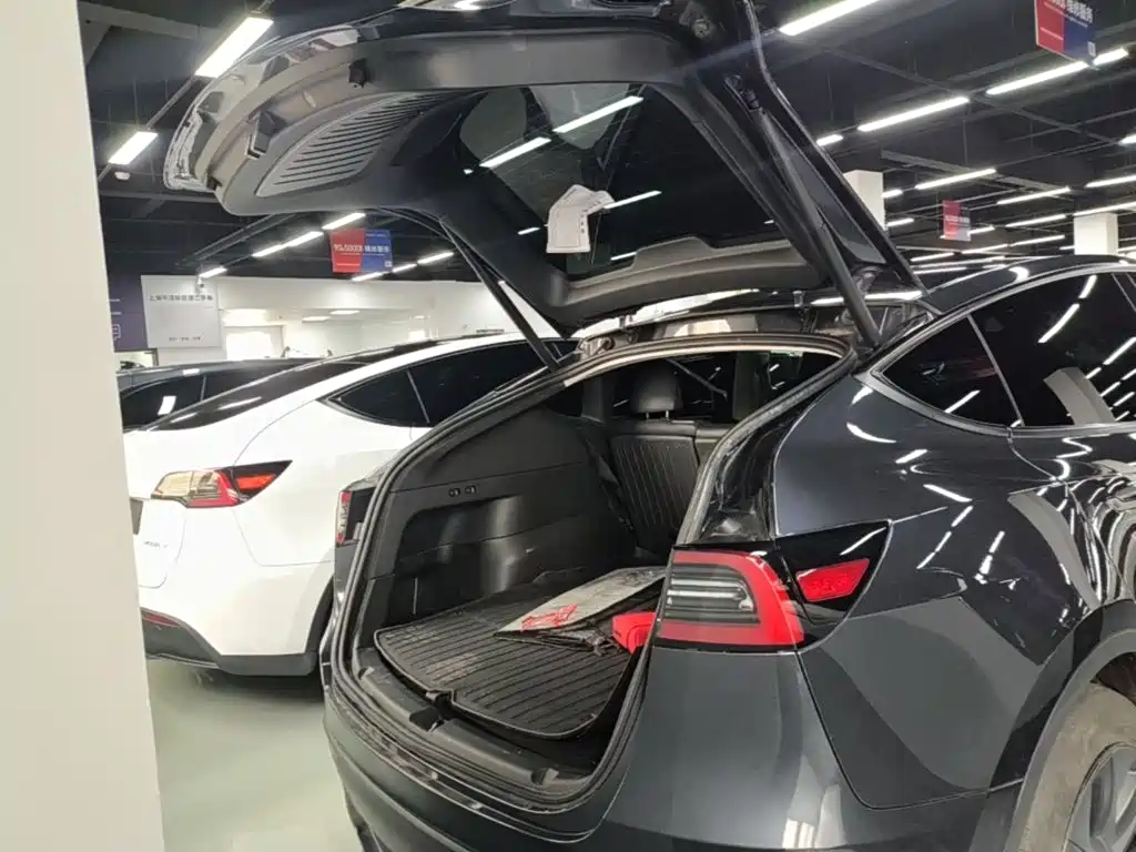 Tesla Model Y — миниатюра 19