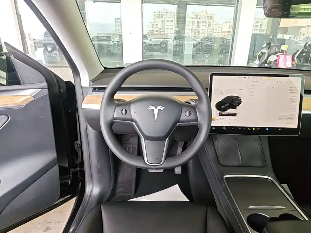 Tesla Model Y — миниатюра 11