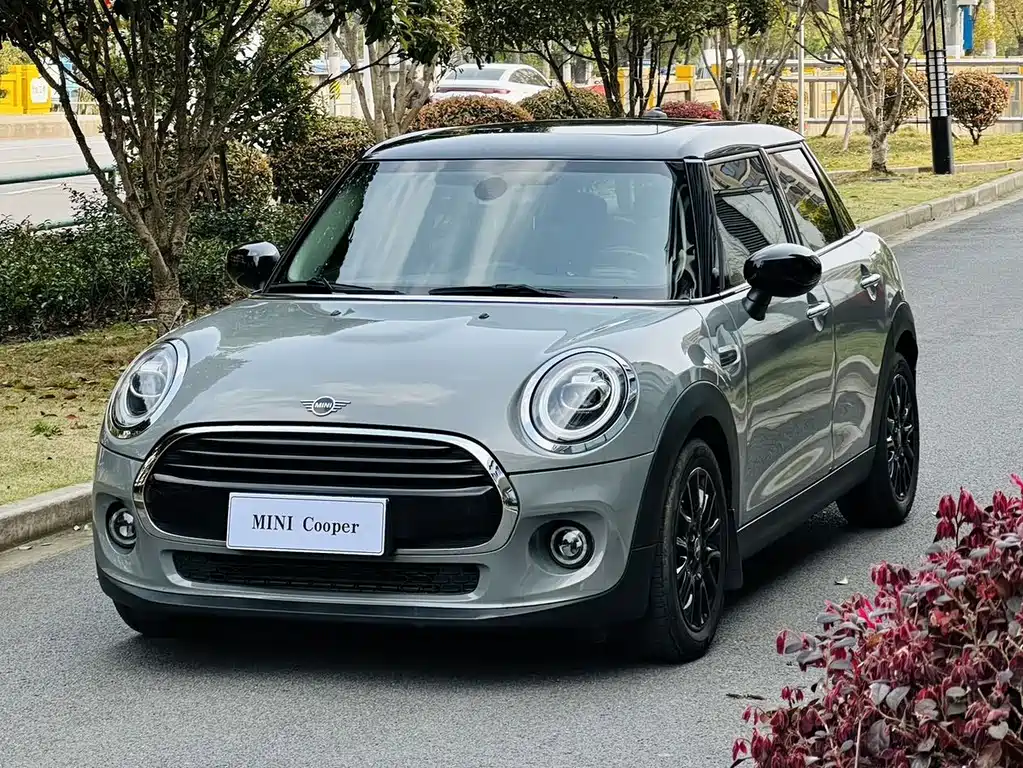 Mini Mini 2021