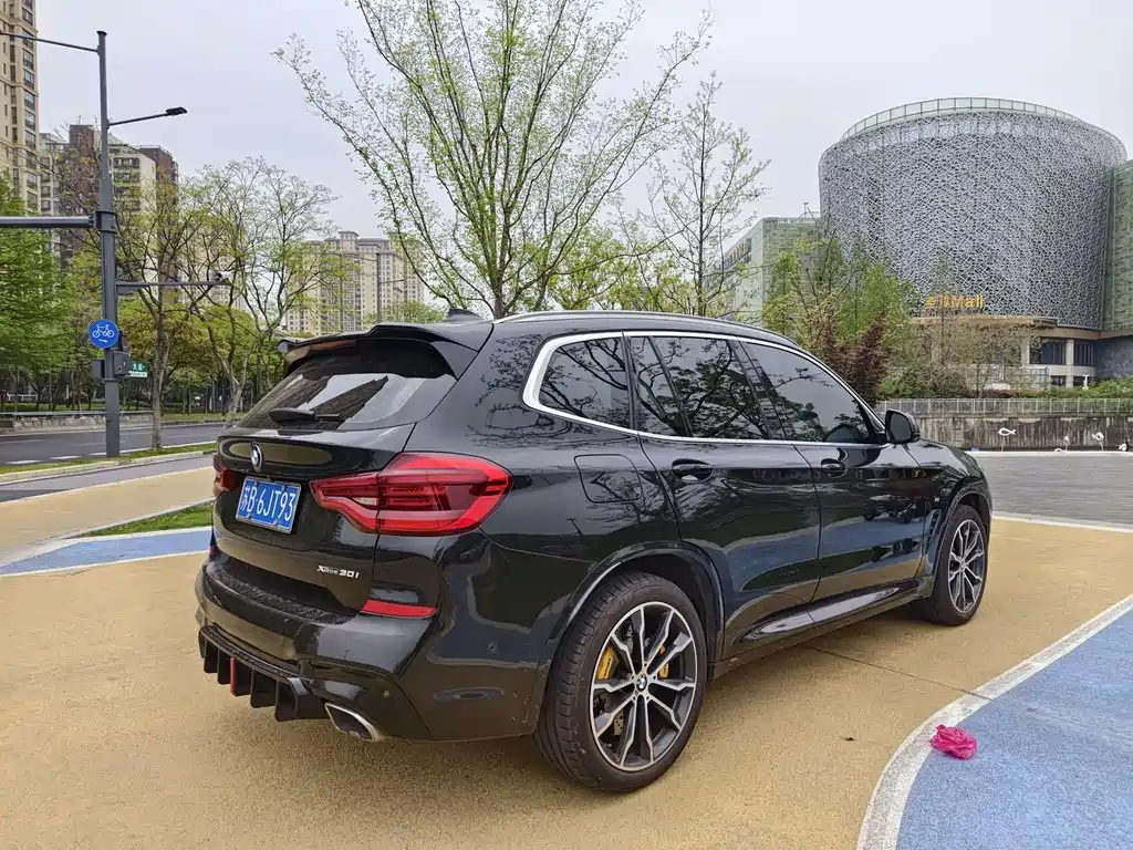 BMW X3 — миниатюра 7