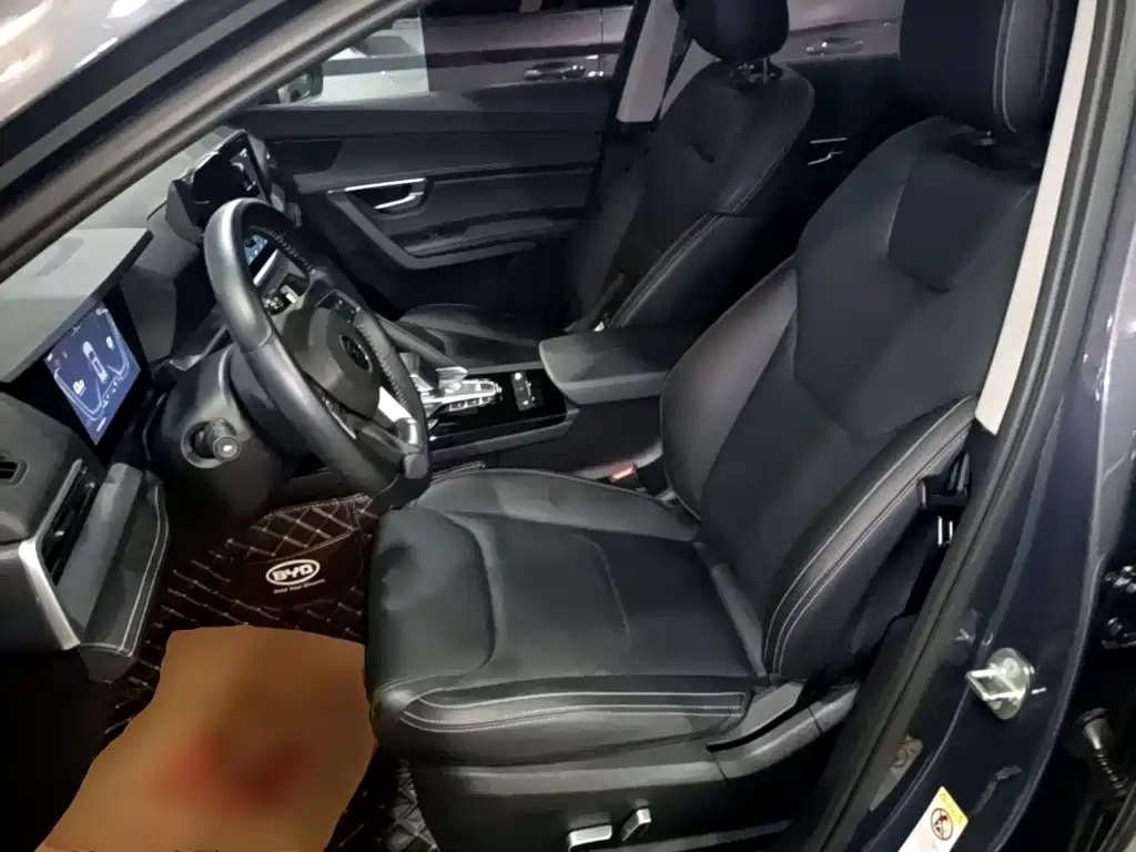 BYD Pro — миниатюра 15