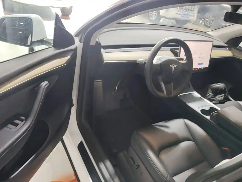 Tesla Model Y — миниатюра 16