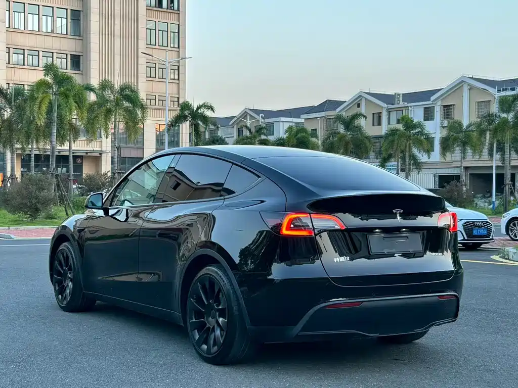 Tesla Model Y — миниатюра 4