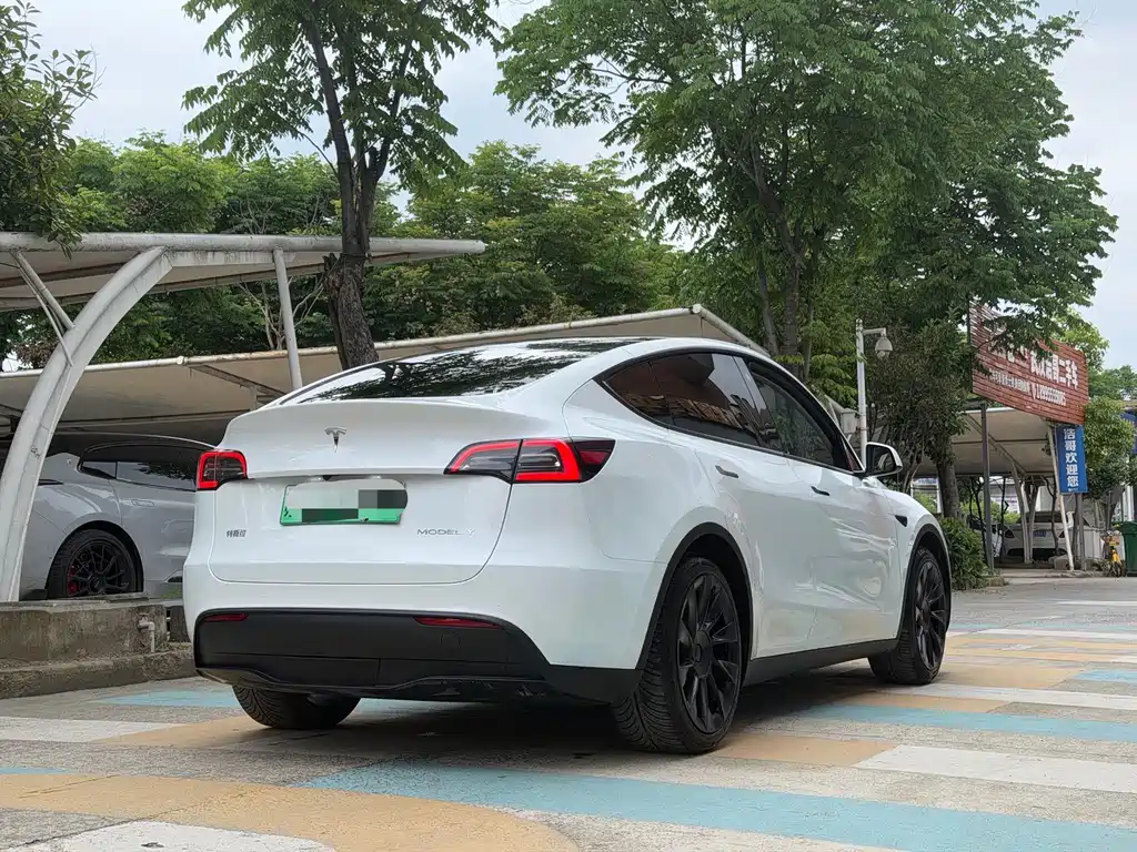 Tesla Model Y — миниатюра 9