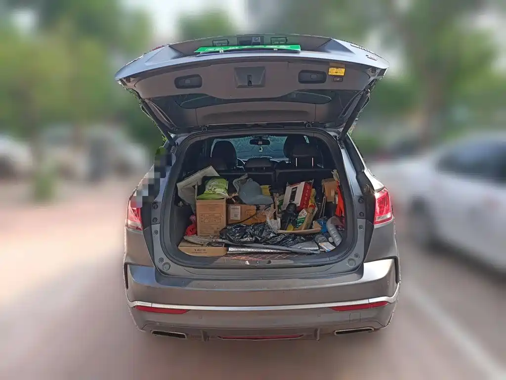 Borgward BX7 — миниатюра 16