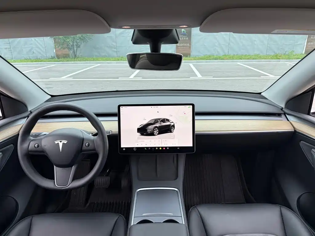 Tesla Model Y — миниатюра 9