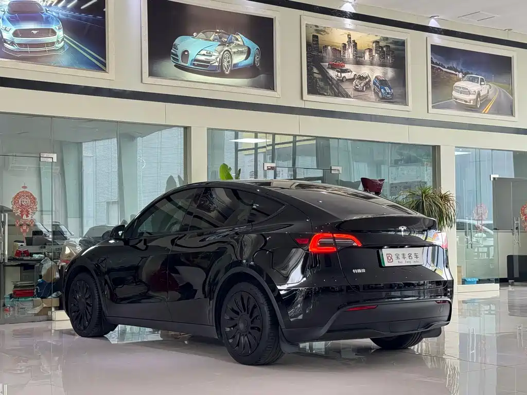 Tesla Model Y — миниатюра 13