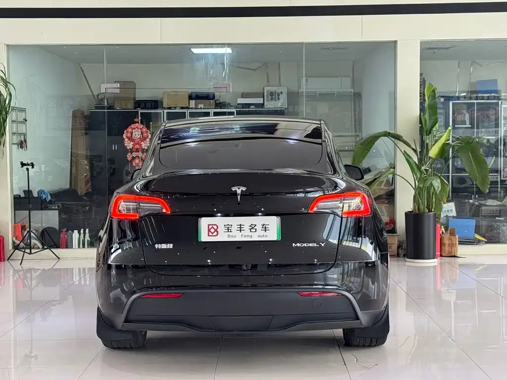 Tesla Model Y — миниатюра 14