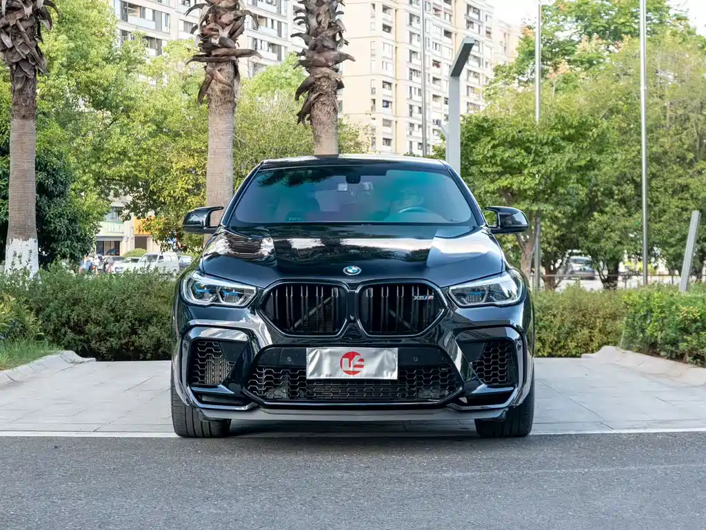 BMW X6 M — миниатюра 2