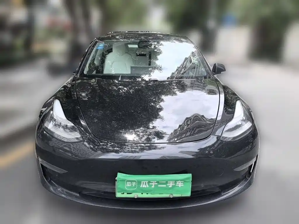 Tesla Model 3 — миниатюра 2