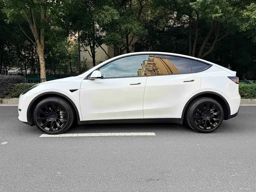 Tesla Model Y — миниатюра 5