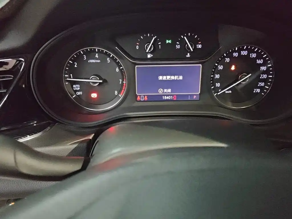 Buick Regal — миниатюра 12