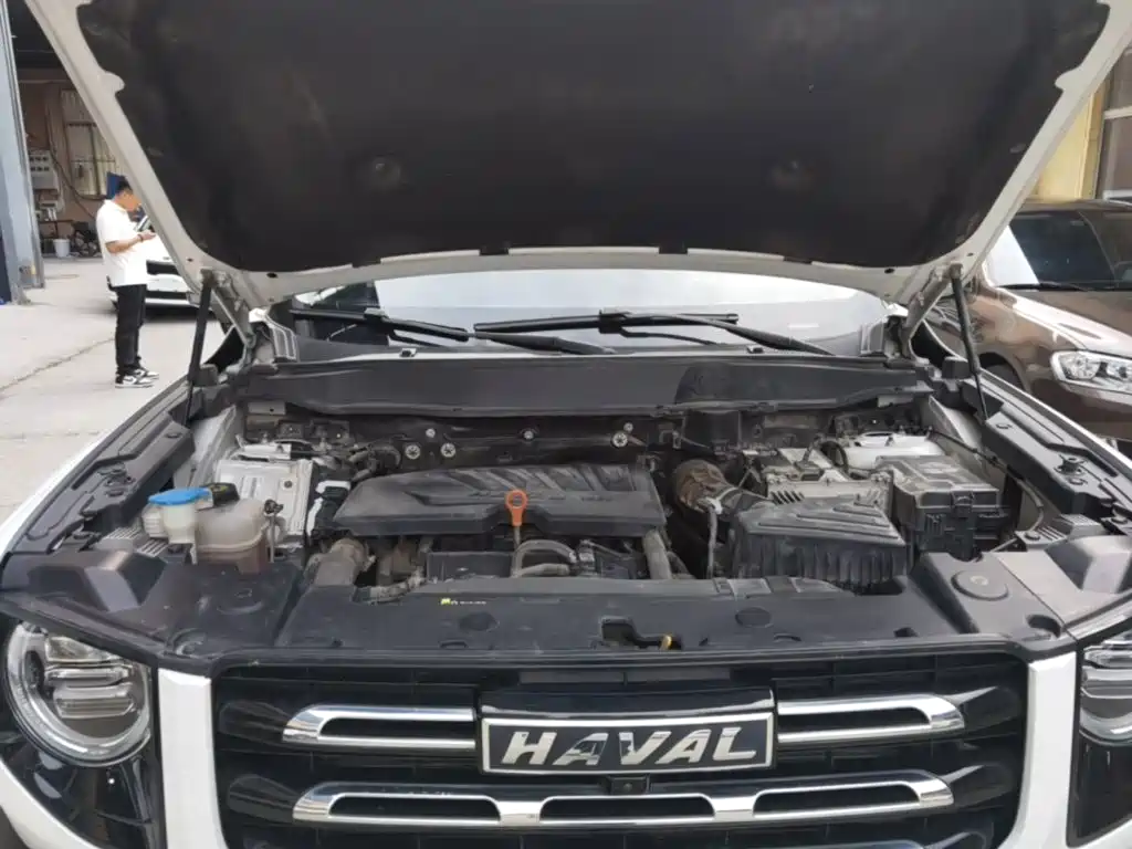 Haval Big Dog — миниатюра 20