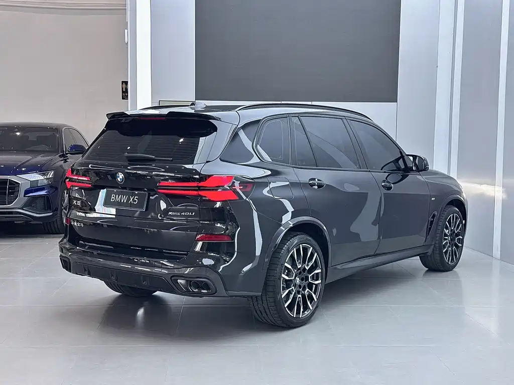 BMW X5 — миниатюра 21