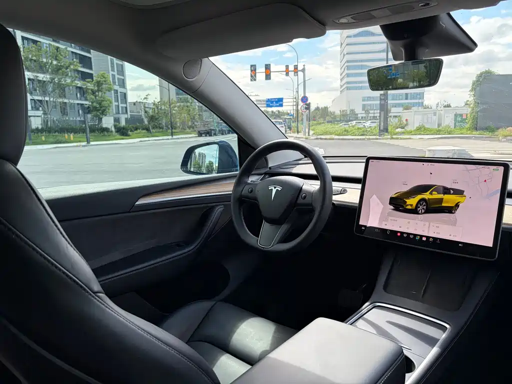 Tesla Model Y — миниатюра 7