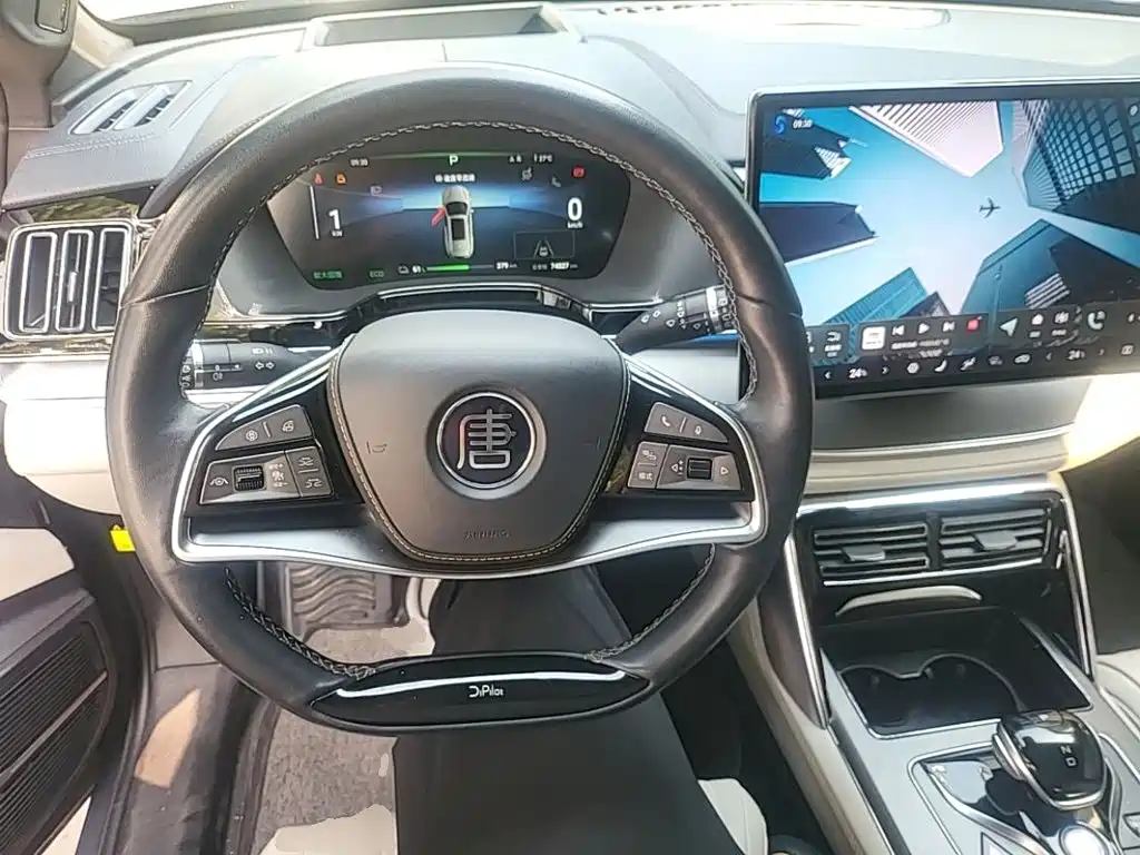 BYD Tang New Energy — миниатюра 11