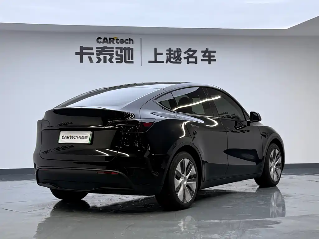 Tesla Model Y — миниатюра 5