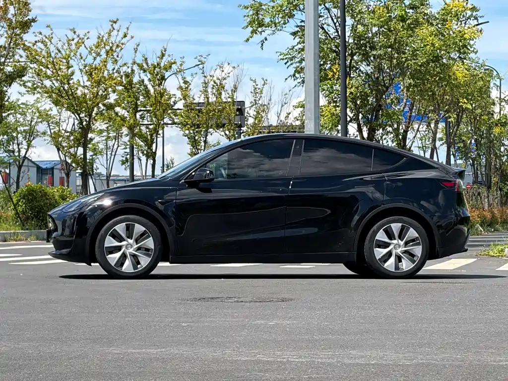 Tesla Model Y — миниатюра 3