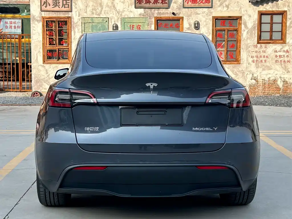 Tesla Model Y — миниатюра 15
