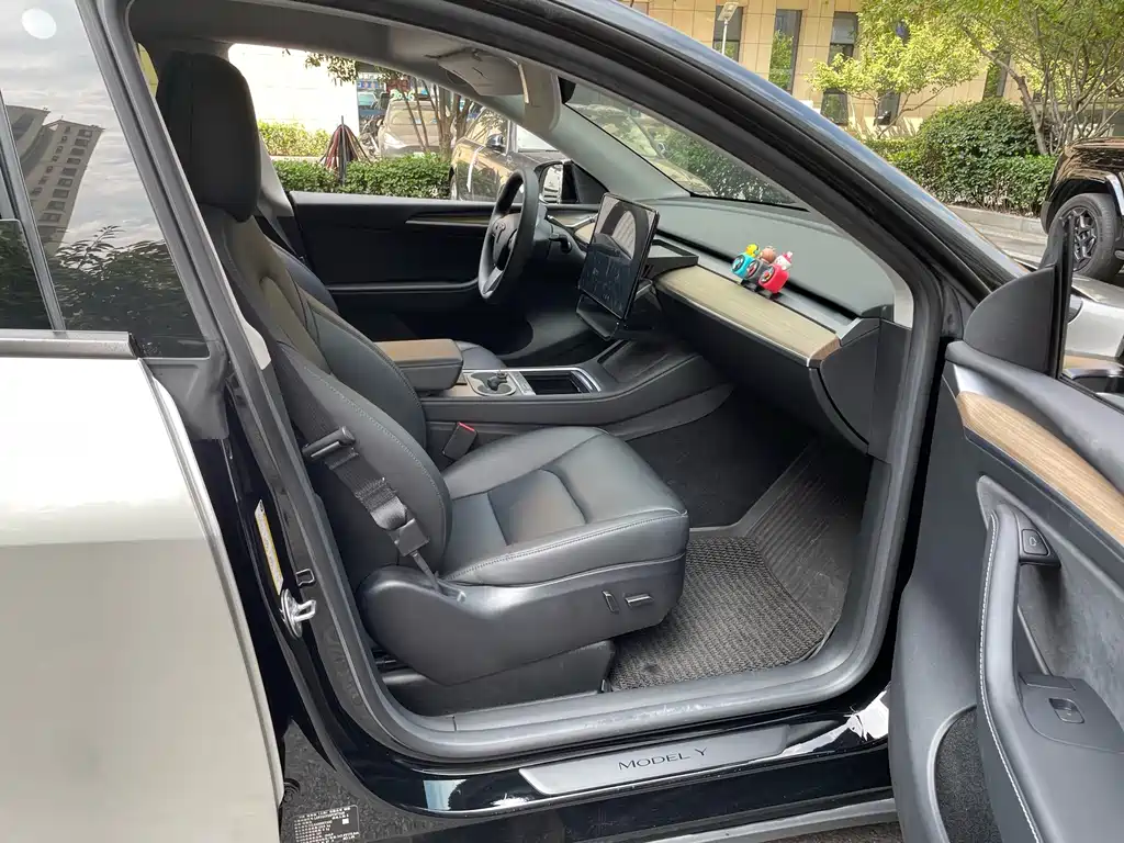 Tesla Model Y — миниатюра 10