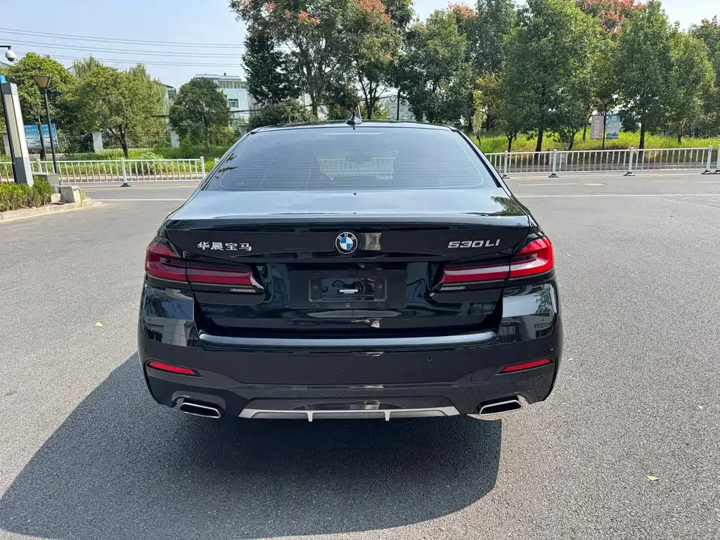 BMW 5 Series — миниатюра 4
