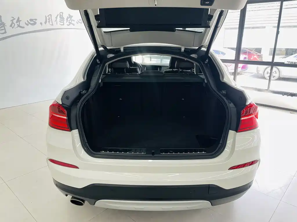 BMW X4 — миниатюра 15