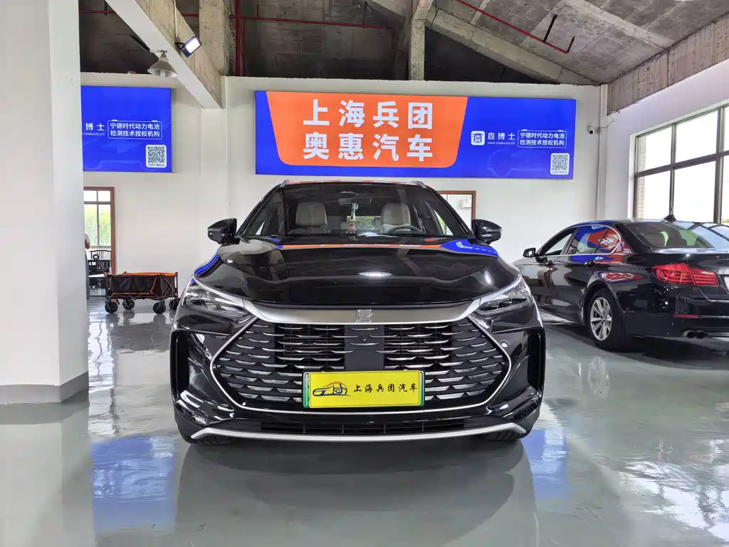 BYD Tang New Energy — миниатюра 2