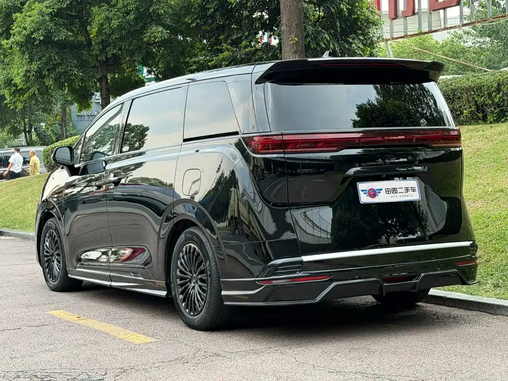 Denza Denza D9 — миниатюра 4