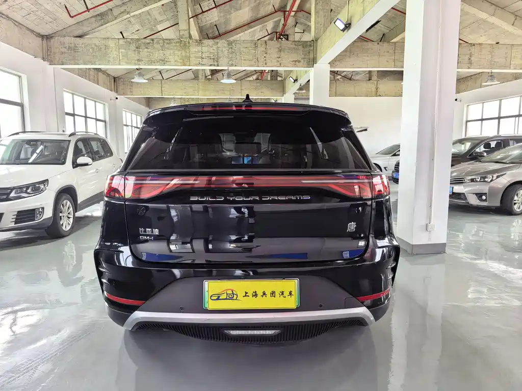 BYD Tang New Energy — миниатюра 25