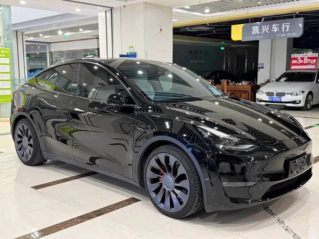 Tesla Model Y — миниатюра 3