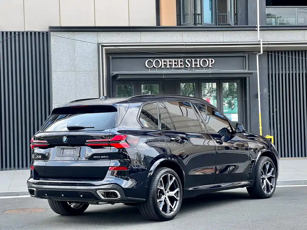 BMW X5 — миниатюра 7