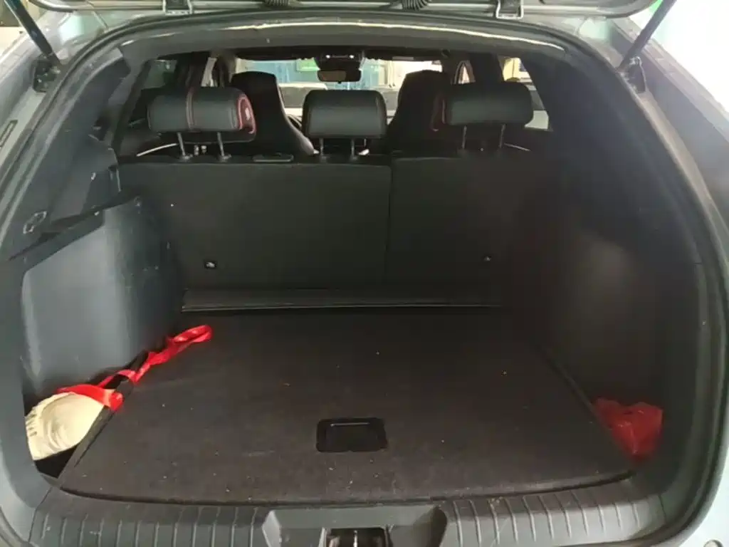 BYD PLUS — миниатюра 19