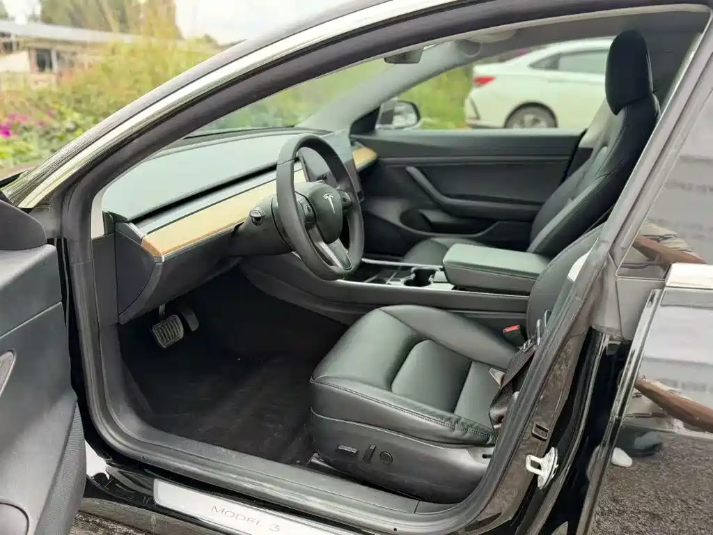 Tesla Model 3 — миниатюра 6