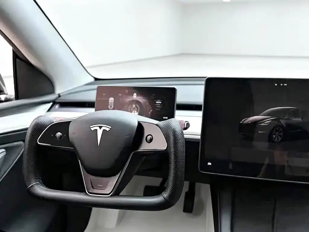Tesla Model Y — миниатюра 4