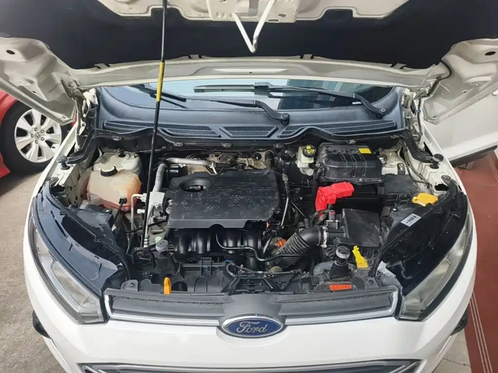 Ford Ecosport — миниатюра 20