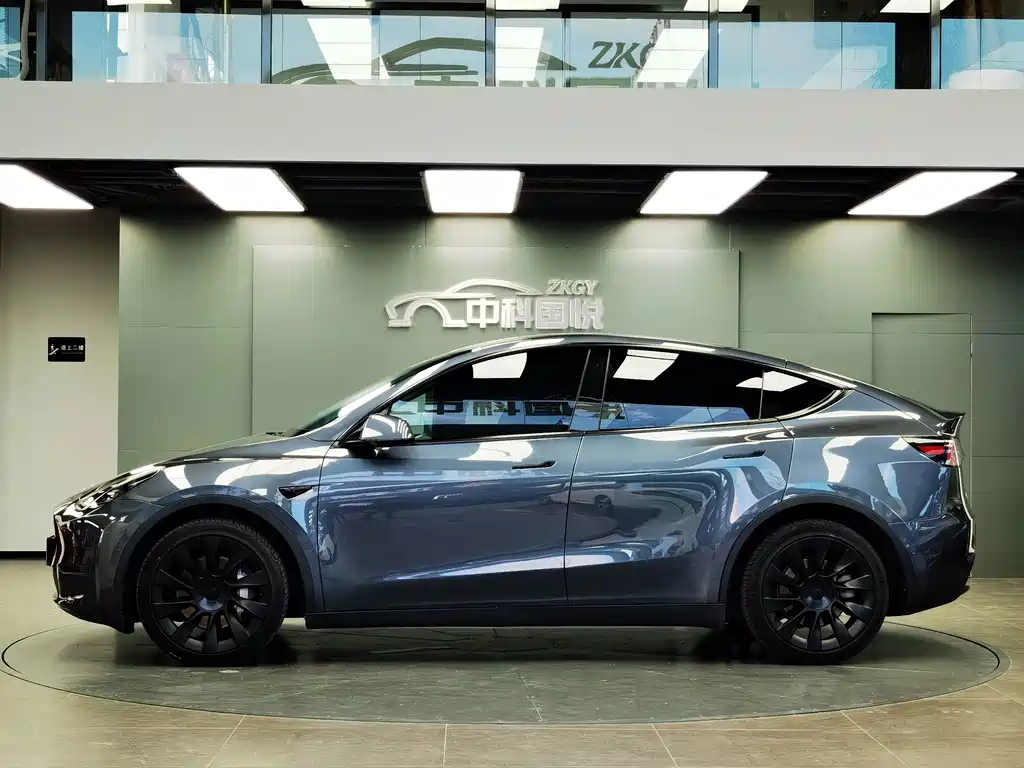 Tesla Model Y — миниатюра 2