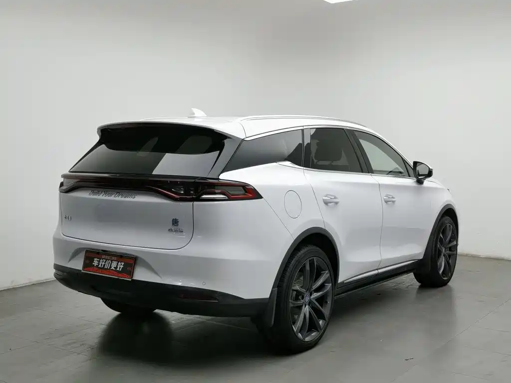 BYD Tang New Energy — миниатюра 2