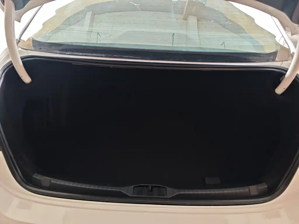 Volkswagen Lamando — миниатюра 19