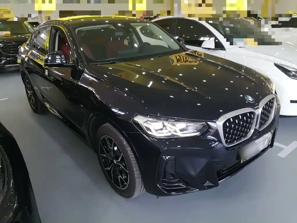 BMW X4 — миниатюра 4