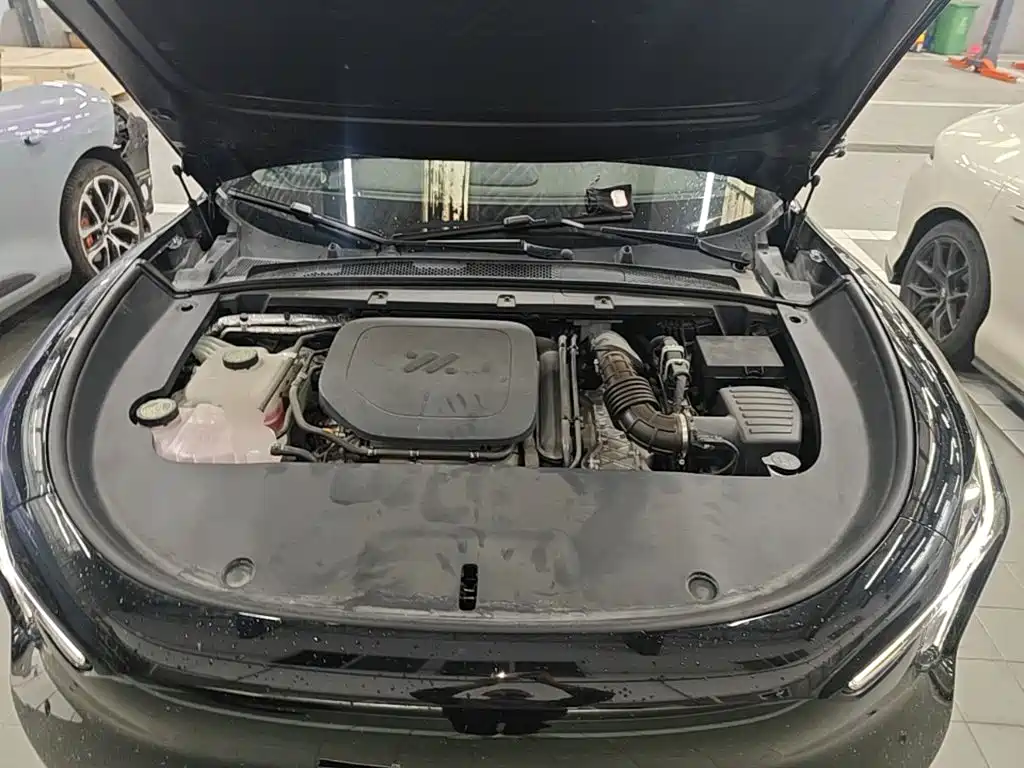 IM IM LS6 — миниатюра 20