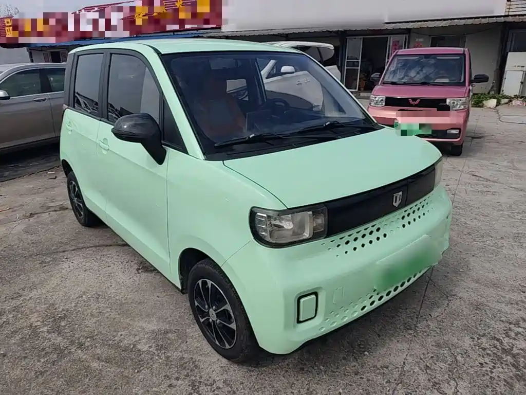 Bai Zhi Baizhi Big Bear — миниатюра 22