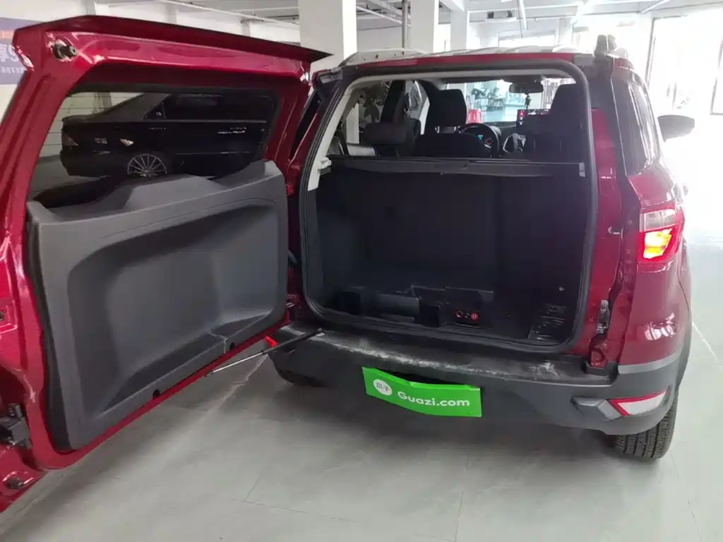 Ford Ecosport — миниатюра 19