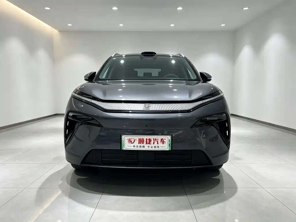 BYD Tang L — миниатюра 2