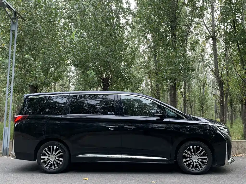 GAC Motor Trumpchi M8 — миниатюра 4