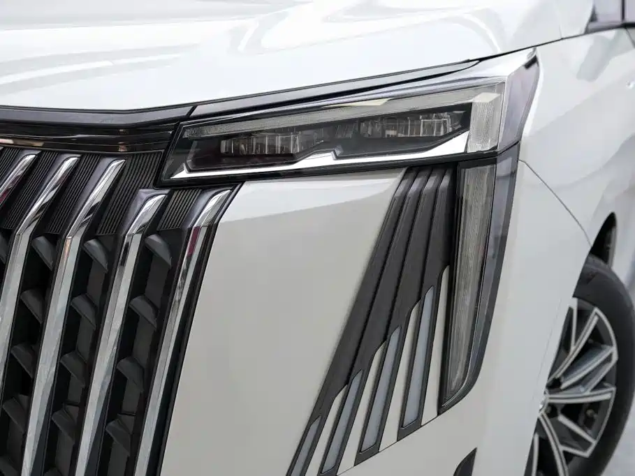 GAC Motor Trumpchi M8 — миниатюра 2