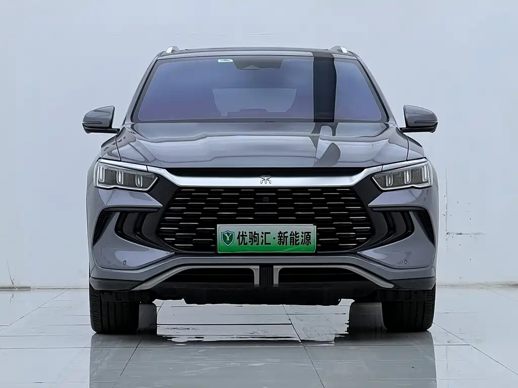 BYD Pro New Energy — миниатюра 3