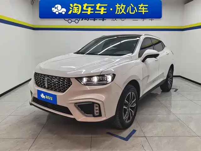 WEI PAI WEI BRAND VV5 2021