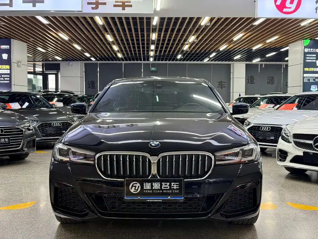 BMW 5 Series — миниатюра 2